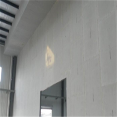 游仙宁波ALC板|EPS加气板隔墙与混凝土整浇联接的实验研讨